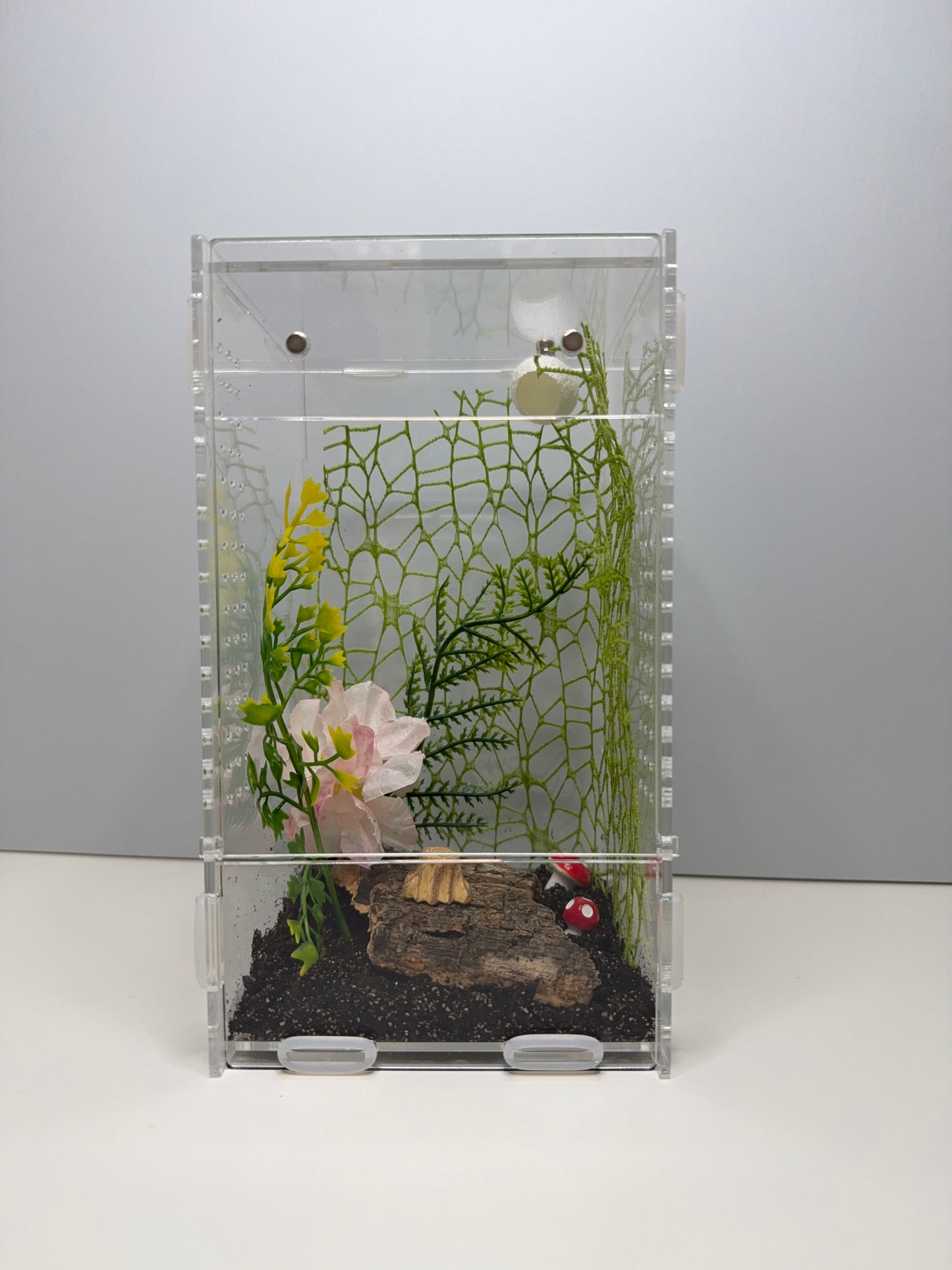 'Little Woodland Retreat' Jumping Spider Habitat