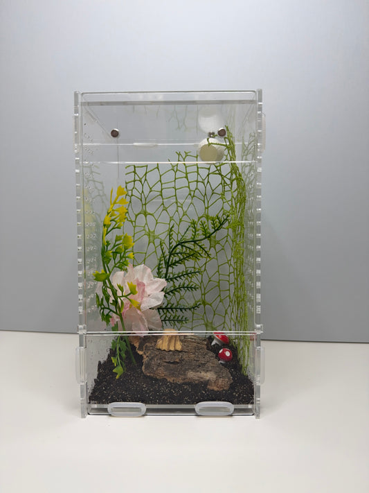 'Little Woodland Retreat' Jumping Spider Habitat