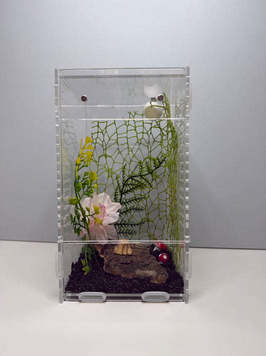 'Little Woodland Retreat' Jumping Spider Habitat