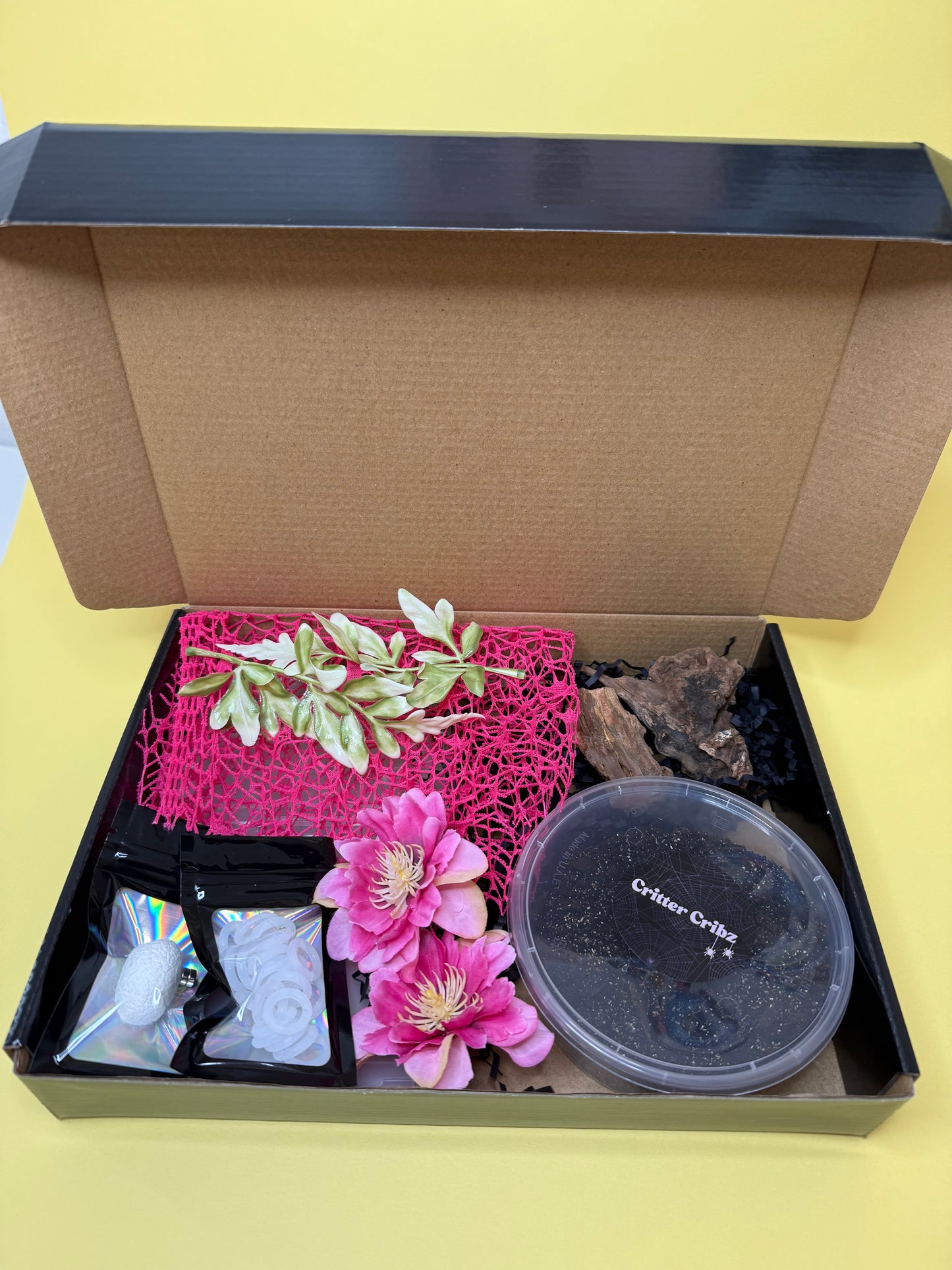 'Flower Pink' Jumping Spider Habitat