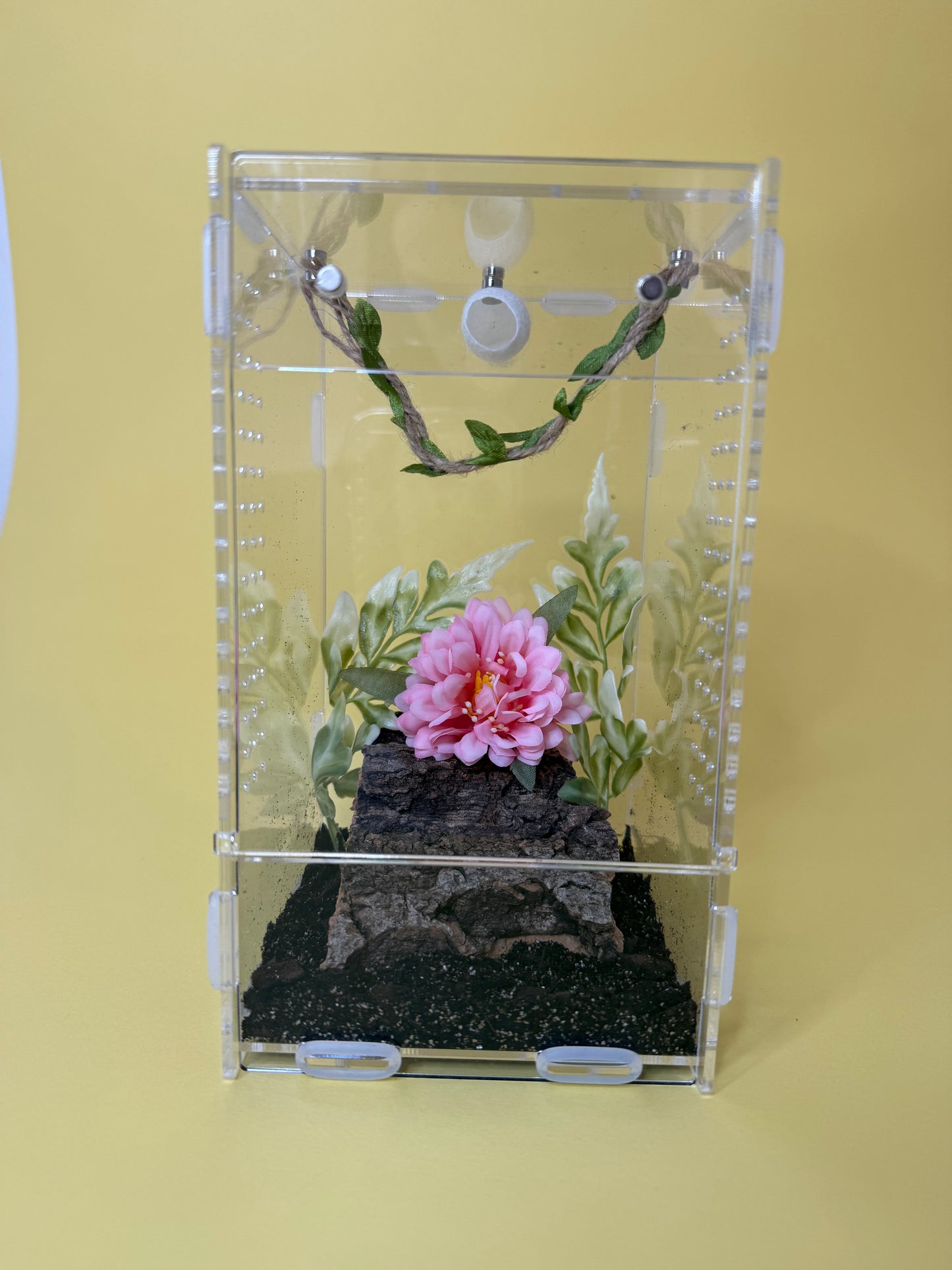 'Natural Garden' Jumping Spider Habitat