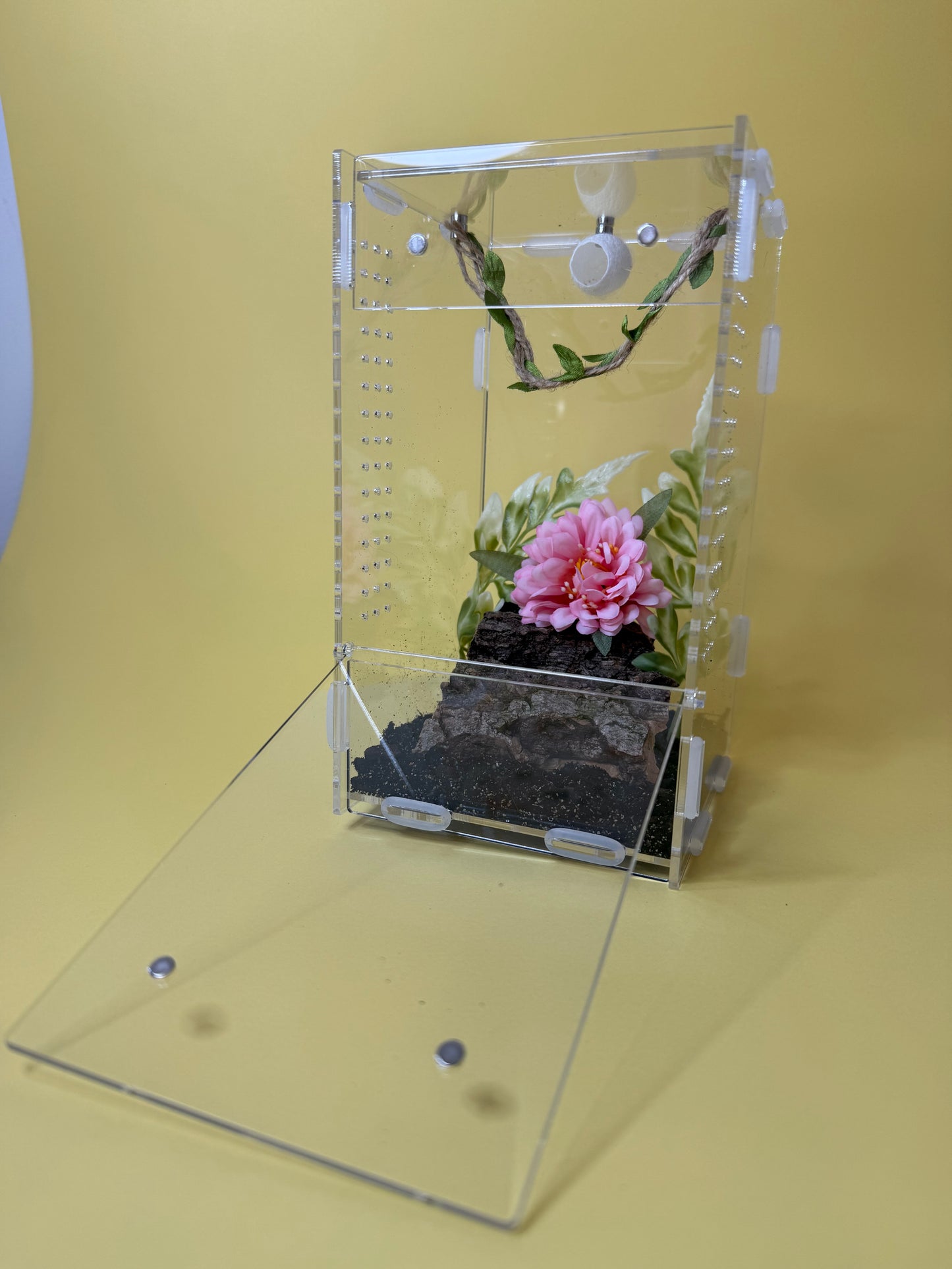 'Natural Garden' Jumping Spider Habitat