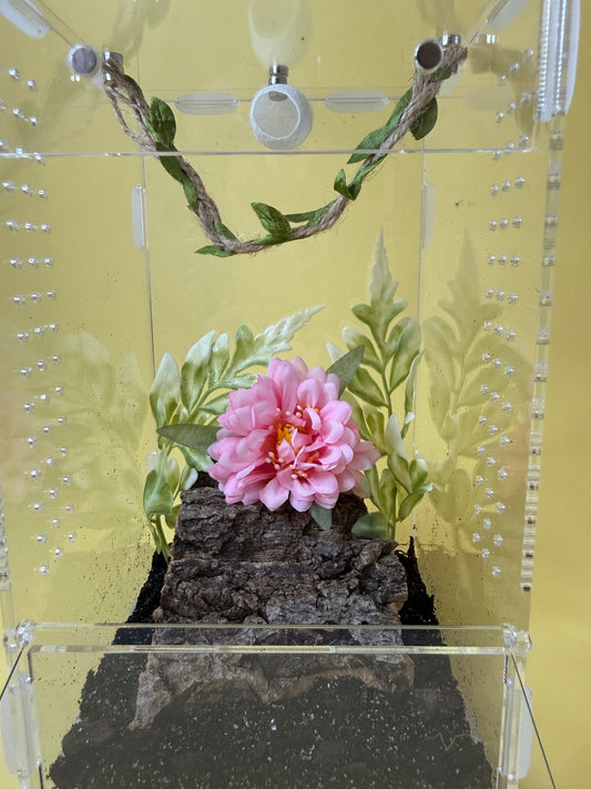 'Natural Garden' Jumping Spider Habitat
