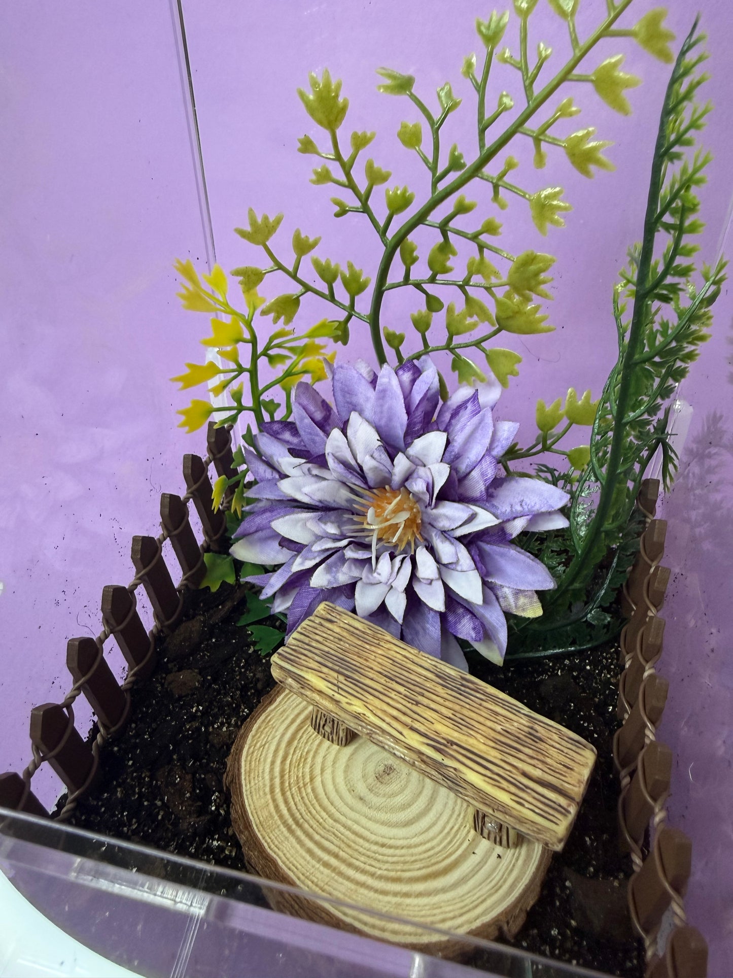 'Purple Garden' Jumping Spider Habitat