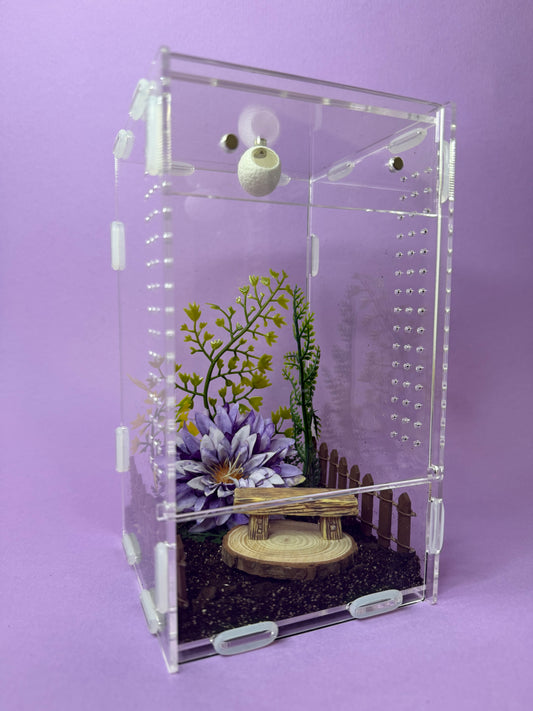 'Purple Garden' Jumping Spider Habitat